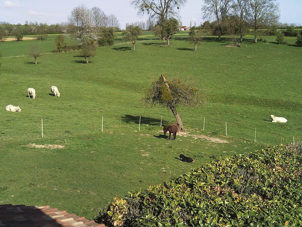 La Bergerie Du Festel Saint-Riquier Exterior photo